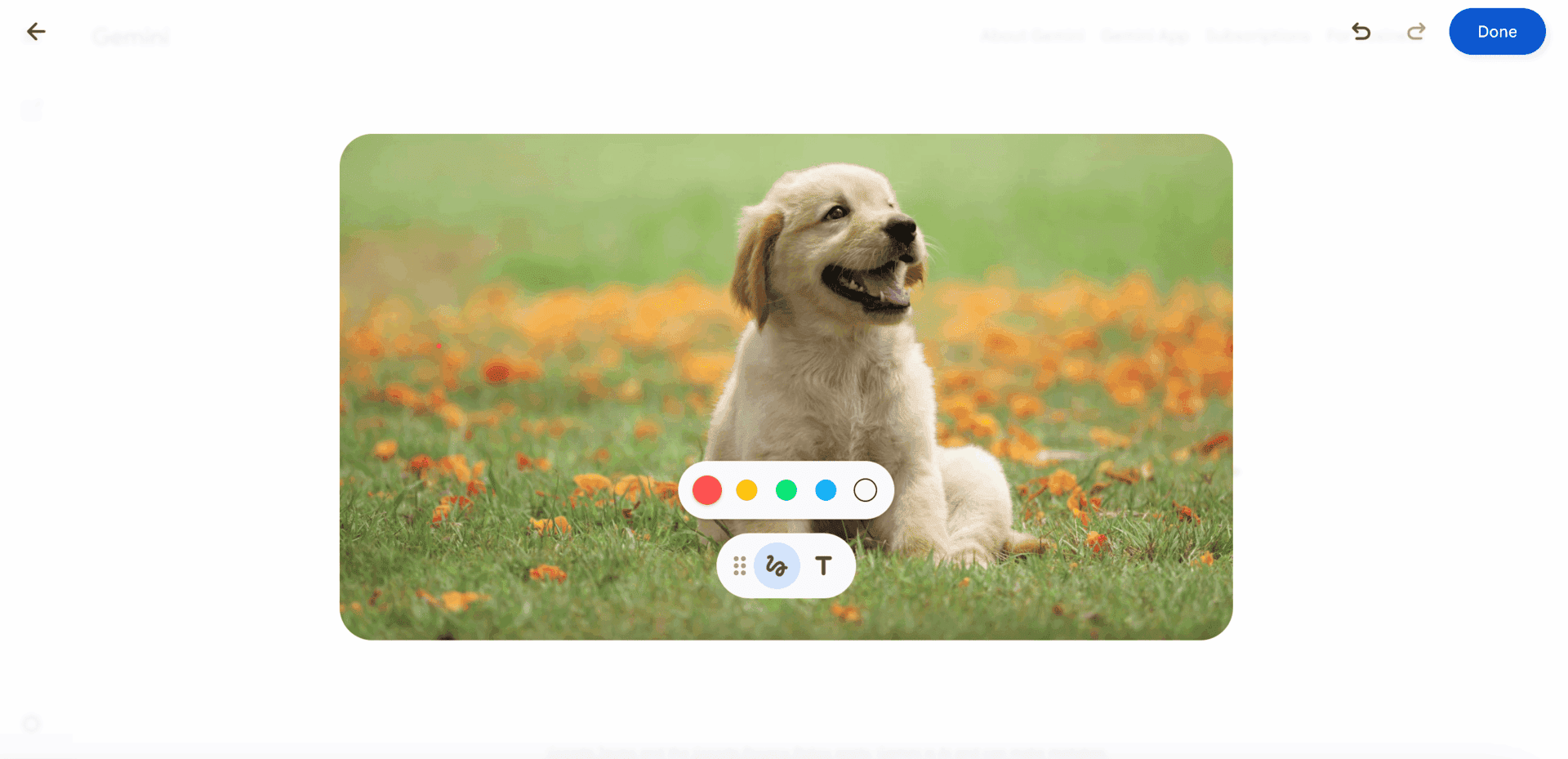 Nano Banana dog selfie